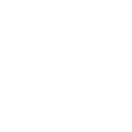 NikAir
